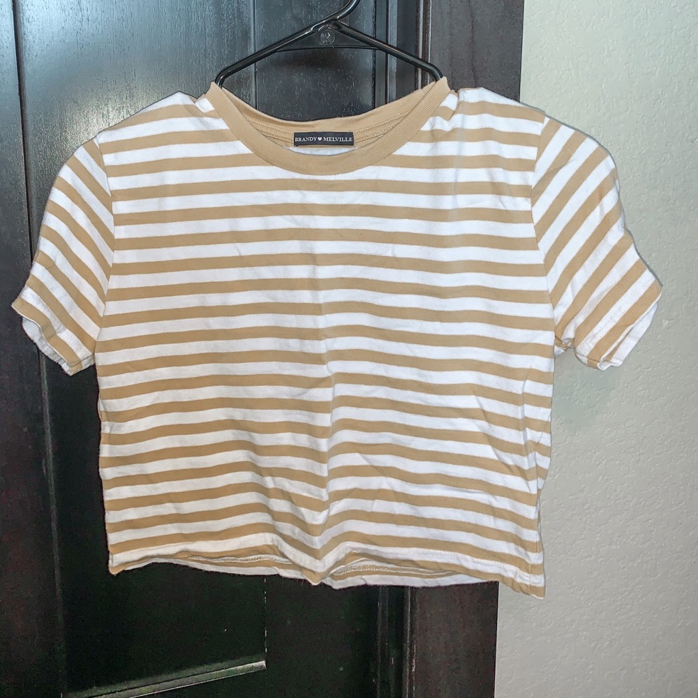 cropped brandy melville tee